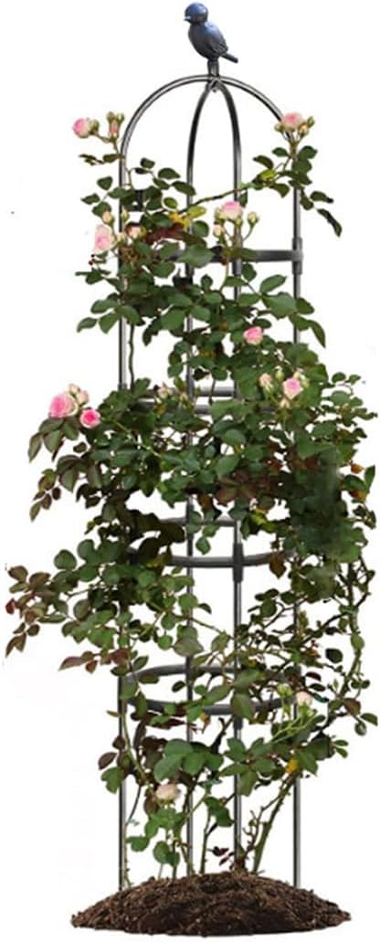 Garden Trellis,Tomato Cage for Climbing Plants Outdoor, Plants Trellis Support for Climbing Vines, Plant Support for