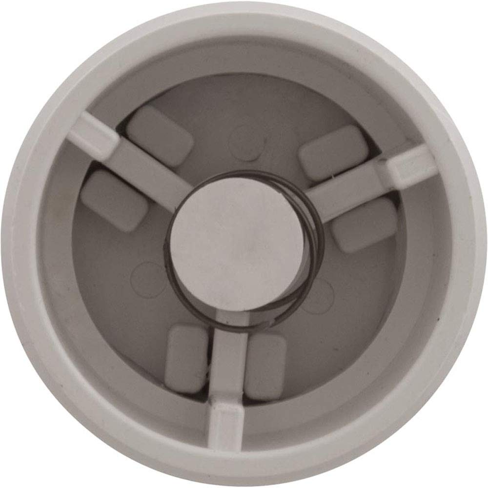 Waterway Hydrostatic Relief Valve, 2" mpt, White