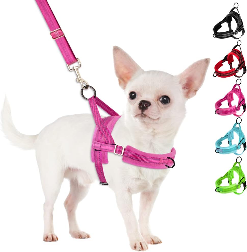 No Pull Small Dog Harness and Leash Set, Puppy Soft Vest Harness Neck & Chest Adjustable, Reflective Lightweight