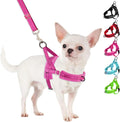 No Pull Small Dog Harness and Leash Set, Puppy Soft Vest Harness Neck & Chest Adjustable, Reflective Lightweight