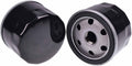 2PCS Oil Filter Compatible With Ariens 21548100 21550800 21551600 Bad Boy 063-2004-00 063-4025-00 EZ-Go Cart 492932 492932S