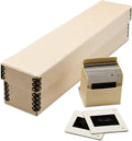 Slide Storage Box with 8 Archival Slide Bins, 11.38x2.00x2.38, Tan