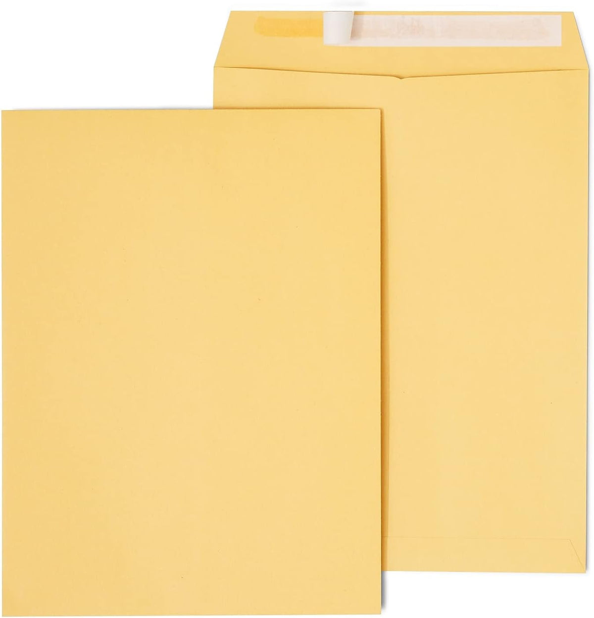 9x12 Brown Kraft EasyClose Catalog Envelopes, 100/Carton