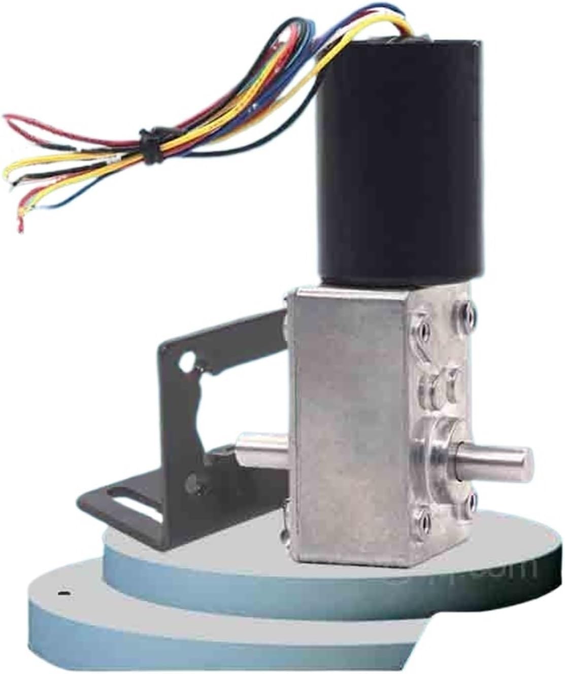Brushless DC Worm Gear Motor 12V24V Right Angle Reducer Gates A5840-3650