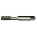 Hand Tap, Bottom, #10-32, Bright, 4 Flt