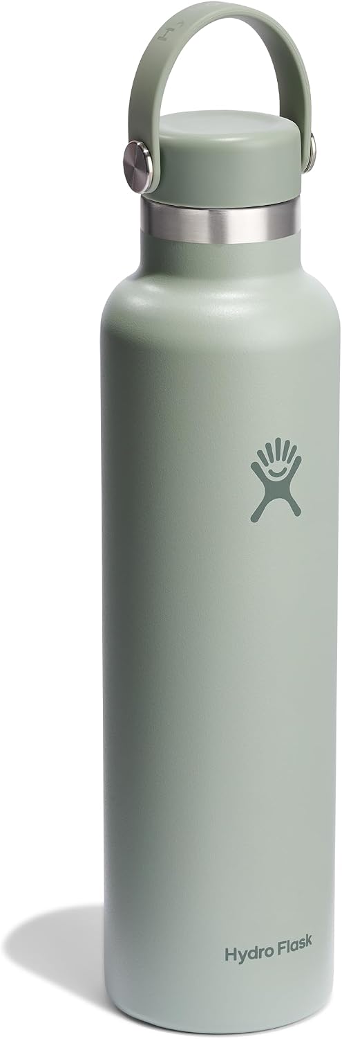 Water Bottle - Insulated Stainless Steel - Non Spill, Leakproof in 24 Oz Agave Green