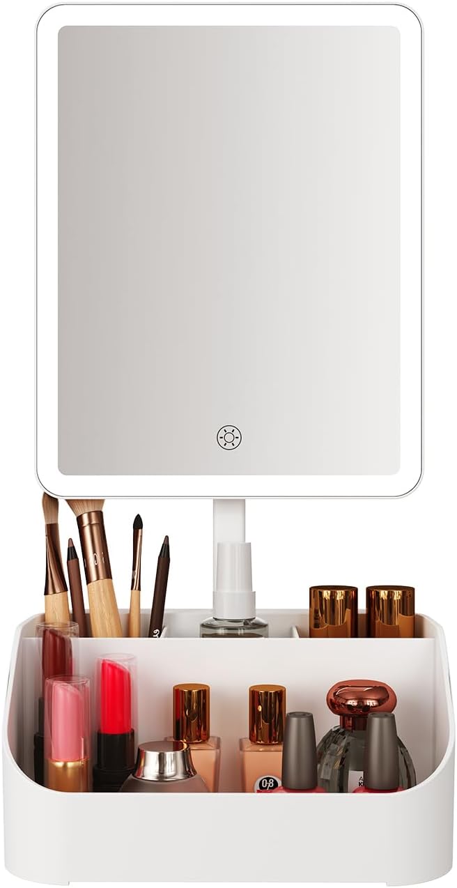 Rechargeable Makeup Mirror Organizer with LED Lights & 20X Magnification, Large Capacity Cosmetic Display Case for