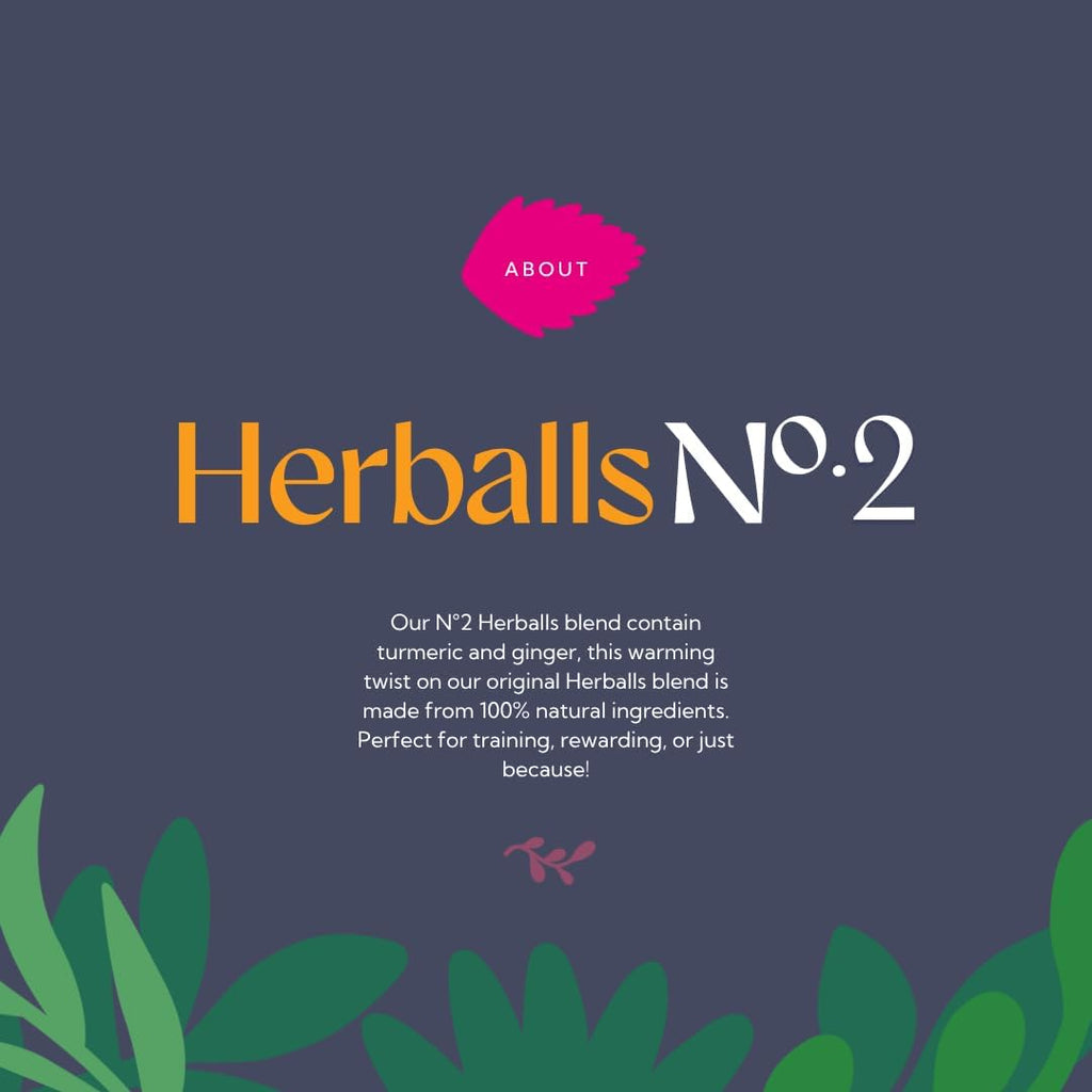 Herballs No.2 - Turmeric & Ginger All-Natural Treats for Horses 2kg (4.4lb) Bag, Equine Supplement