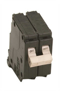 Eaton 100 amps Plug In 2-Pole Circuit Breaker