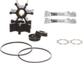 REPLACEMENTKITS Pump Repair Kit