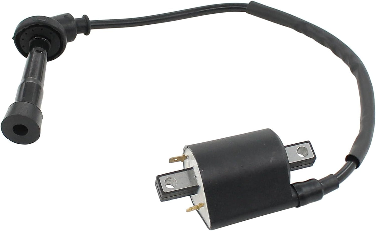 Ignition Coil and Spark Plug for Yamaha V Star 650 1998-2016