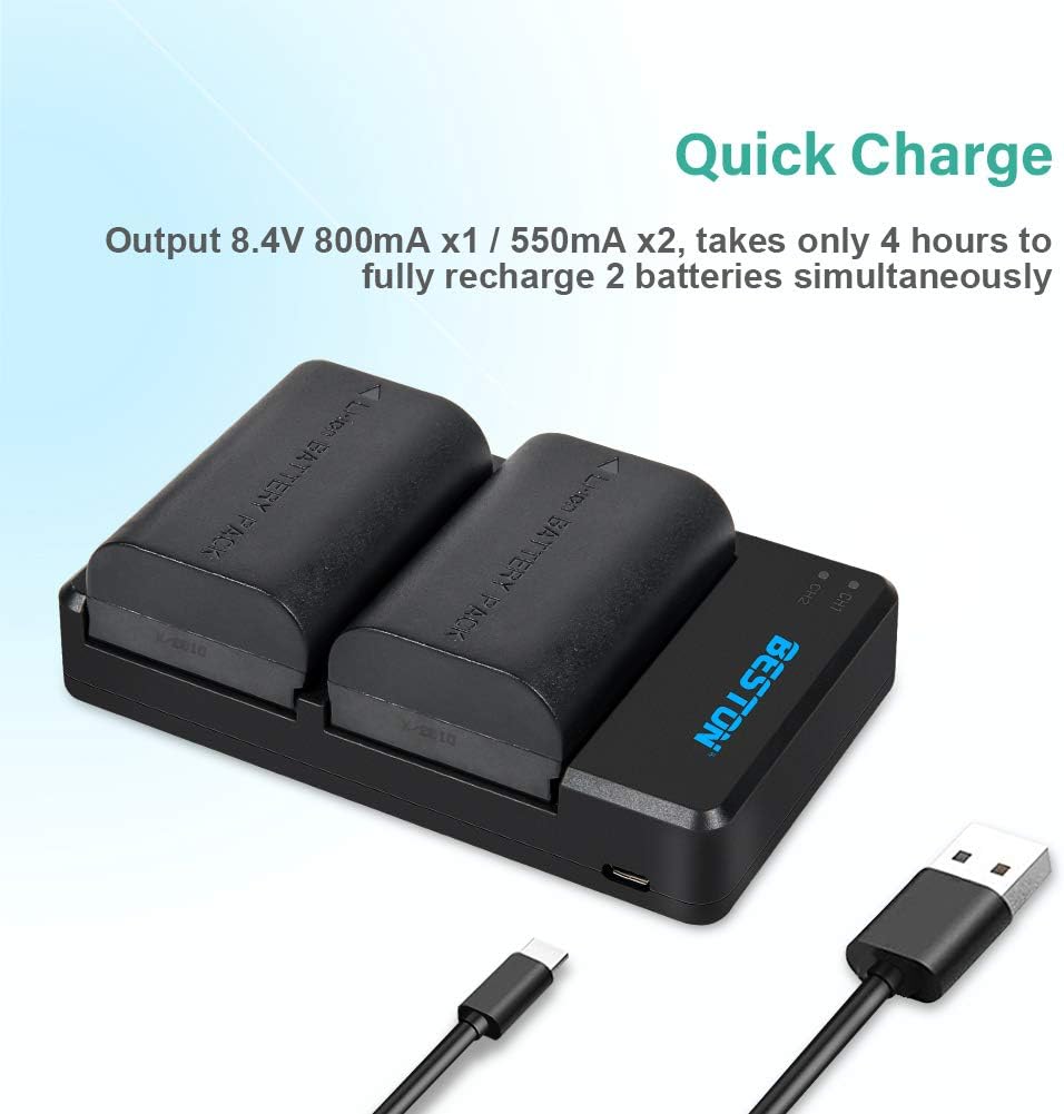 2-Pack of LP-E6N Batteries and Dual Battery Charger for Canon EOS R, R5,R6,R6 Mark II, EOS 60D 70D 80D 90D, 5D Mark