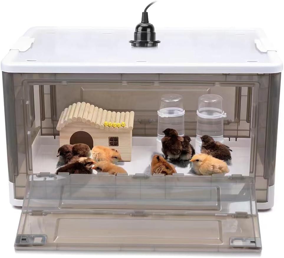Chick Brooder,Brooder Box for Chicks,Brooder Heater Warms up to 15 Chicks (20″x14″x12″)
