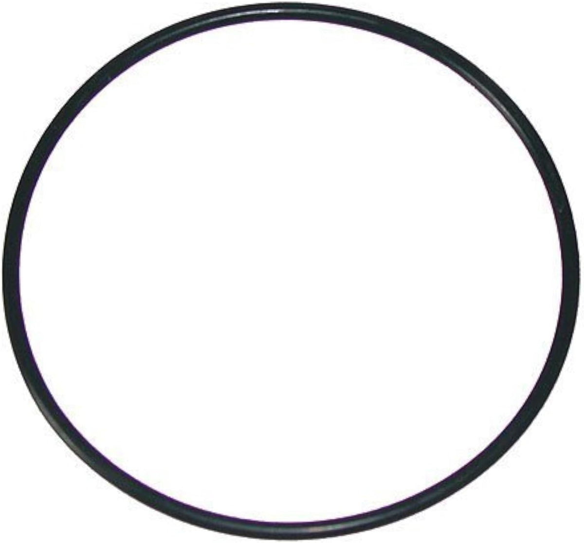 Waterway Hi-Flo Series Pump Trap Lid O-Ring 6" O-318 805-0436