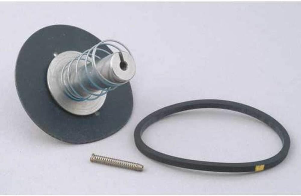 Dayton Valve Rebuild Kit,With Instructions 066052-1 Each