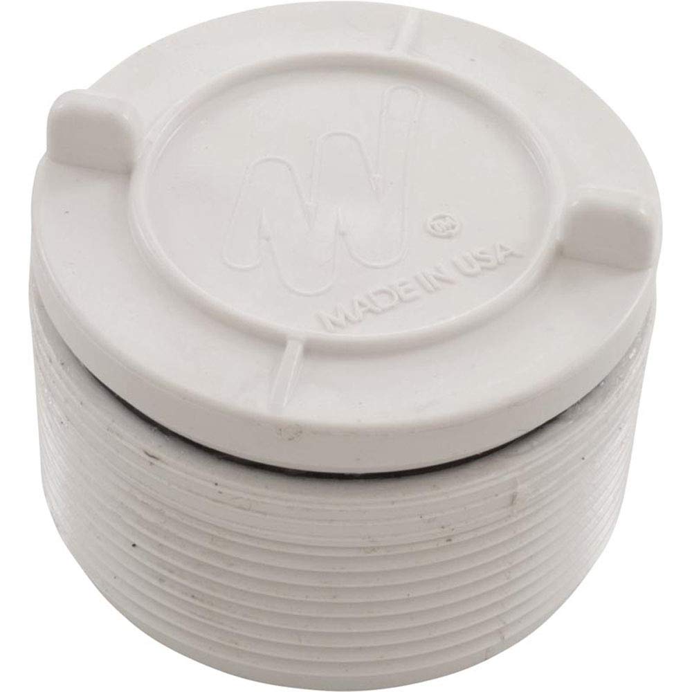 Waterway Hydrostatic Relief Valve, 2" mpt, White