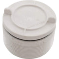 Waterway Hydrostatic Relief Valve, 2" mpt, White