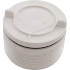 Waterway Hydrostatic Relief Valve, 2" mpt, White
