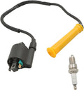 labwork Ignition Coil Replacement for Honda Rancher 420 TRX420 2007-2013