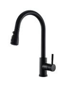Black Kitchen Faucet with Pull Down Sprayer