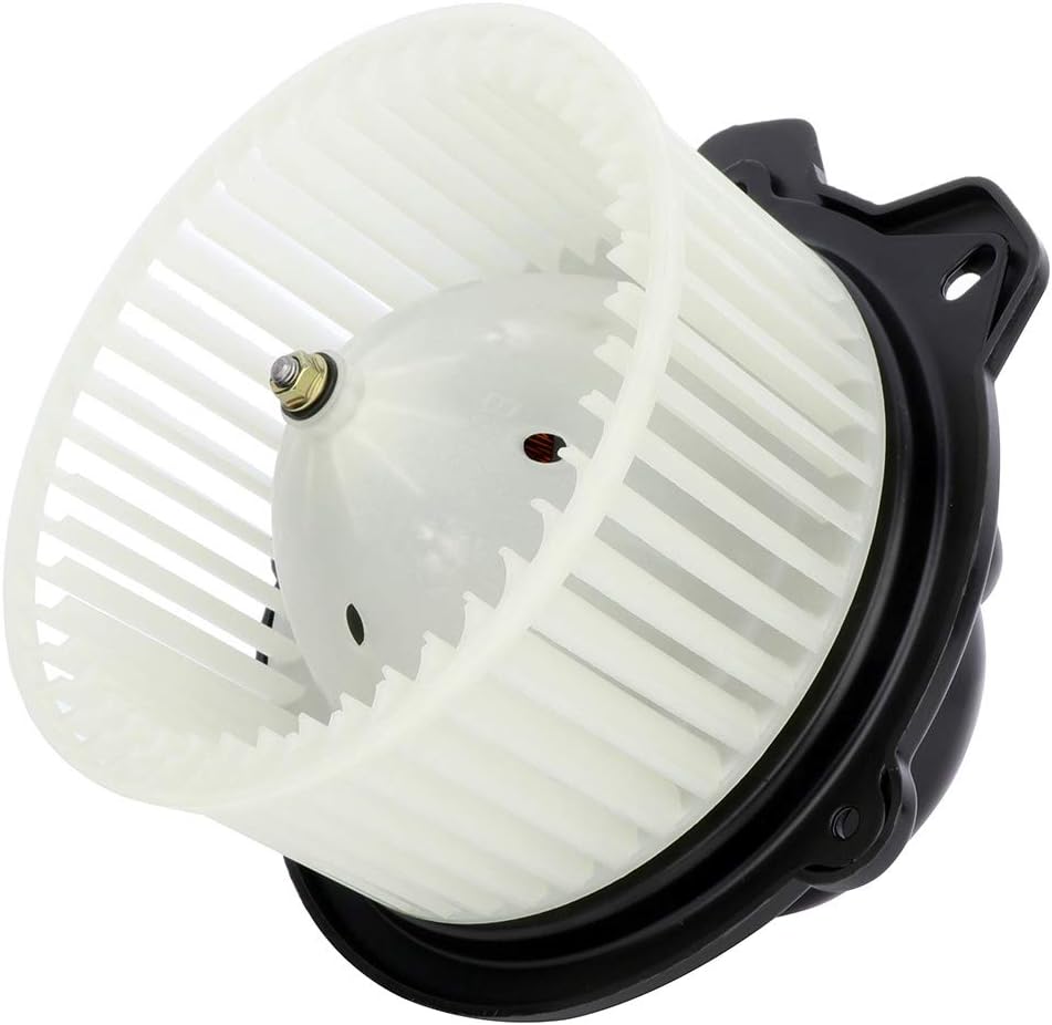 SCITOO HVAC Heater Blower Motor with Fan Cage Front 700016