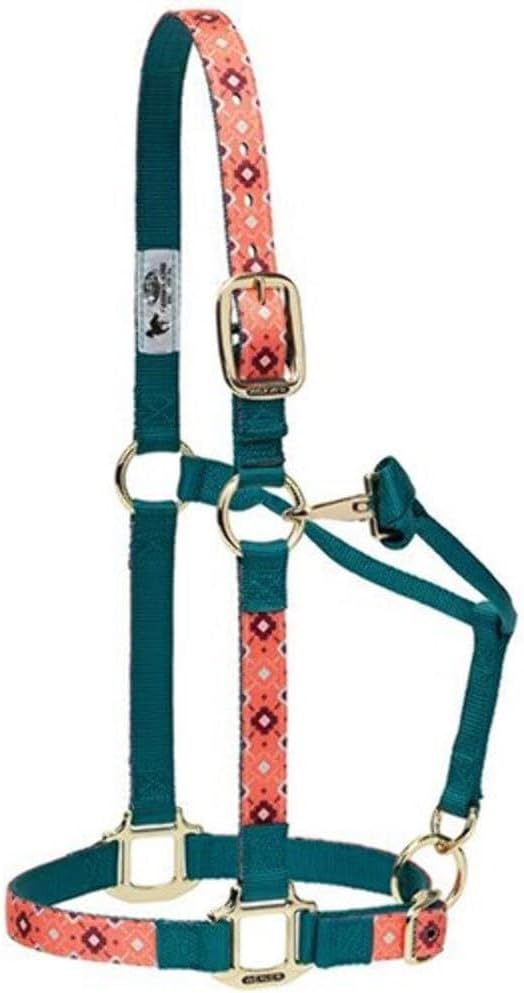 Weaver Leather Adjustable Patterned Nylon Horse Halter, Cactus, Average Horse