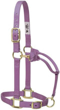 Weaver Leather Original Adjustable Nylon Horse Halter, Average Horse, Lavender