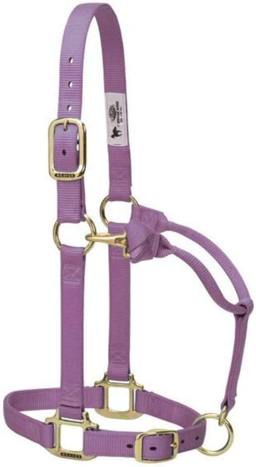 Weaver Leather Original Adjustable Nylon Horse Halter, Average Horse, Lavender