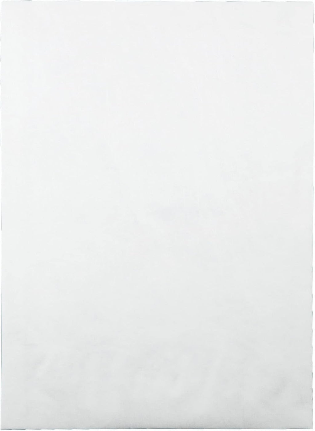 Survivor R4200 Tyvek Expansion Mailer, 10 x 13 x 1 1/2, White, 18lb (Case of 100)