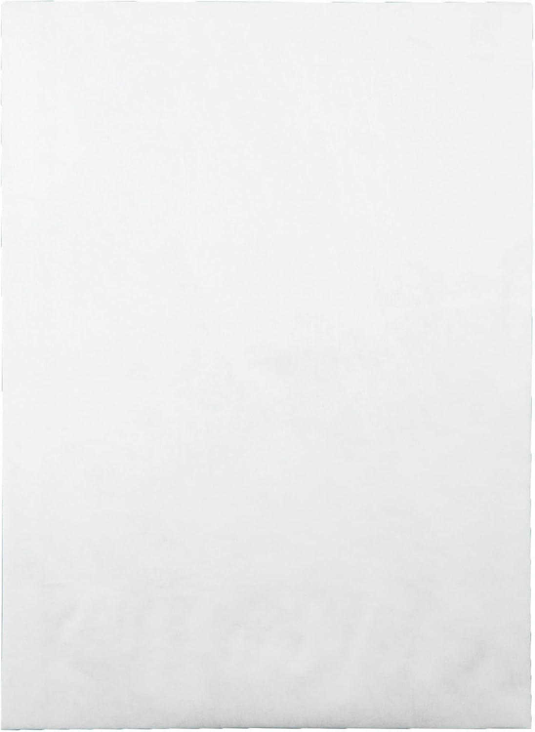 Survivor R4200 Tyvek Expansion Mailer, 10 x 13 x 1 1/2, White, 18lb (Case of 100)