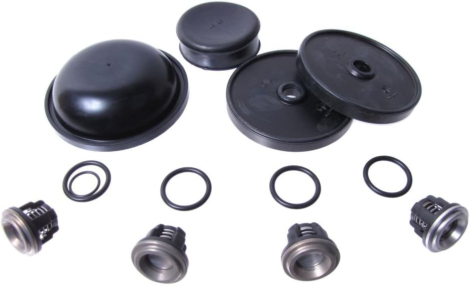 Rittenhouse Hypro Repair Kit for D30 Diaphragm Pump - D30REPAIRKIT