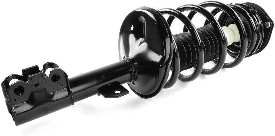 Front Struts Assembly w/Coil Springs 172236 172237, Set of 2