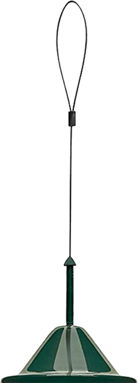 Classic Squirrel-proof Bird Feeder w/4 Feeding Ports, 2.4-pound Seed Capacity