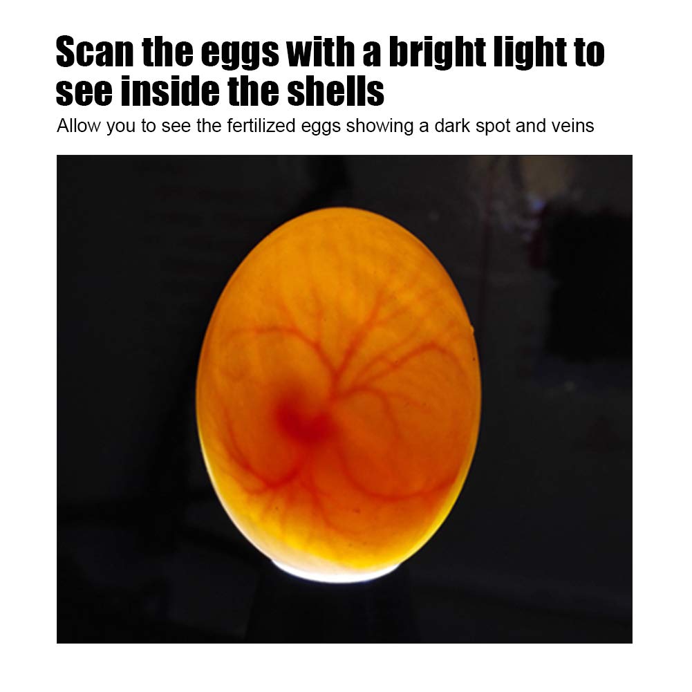 Egg Candler, Cool Light Portable Egg Candling Lamp with High Intensity Light, for Chicken, Goose, Duck, Eggs