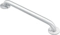 Home Care Bathroom Safety 24 Inch Stainless Steel Handicap Grab Bar for Bathtub and Shower, Heavy Duty Handle