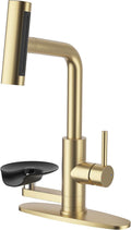 Brushed Gold Kitchen Faucet with Pull Down Sprayer & Cup Washer