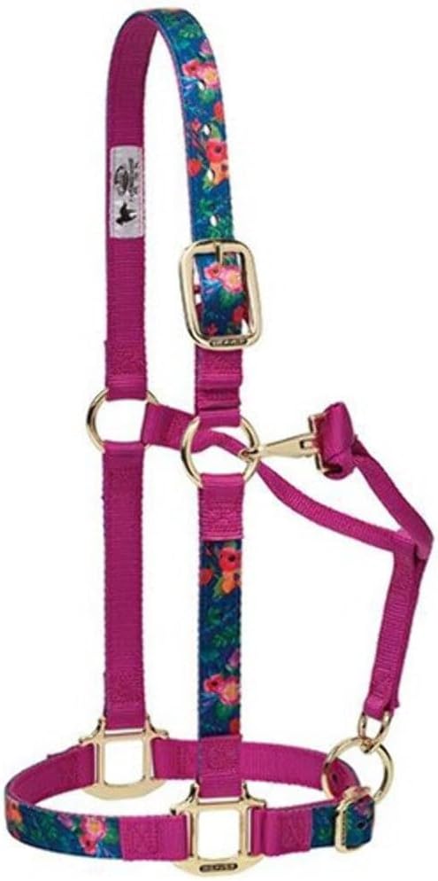 Weaver Leather Adjustable Patterned Nylon Horse Halter, Cactus, Average Horse