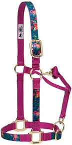 Weaver Leather Adjustable Patterned Nylon Horse Halter, Cactus, Average Horse