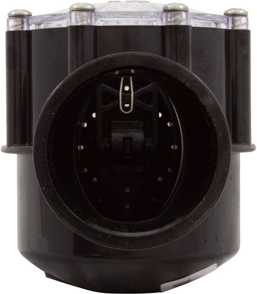 Pentair 263042 Check Valve CPVC for Pool Pumps, 2 Port Straight