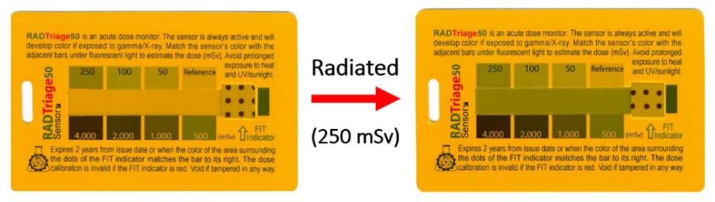 Rad Triage 50 Personal Radiation Detector for Wallet or Pocket, Nuclear Radiation Detector, Electromagnetic Field