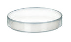 Plastic Petri Dish with Lid - 2" Diameter, 0.5" Depth - Molded in Polypropylene - Reusable - Translucent