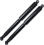 Detroit Axle - 2WD Struts Shocks for 2005-2009 Dodge Dakota