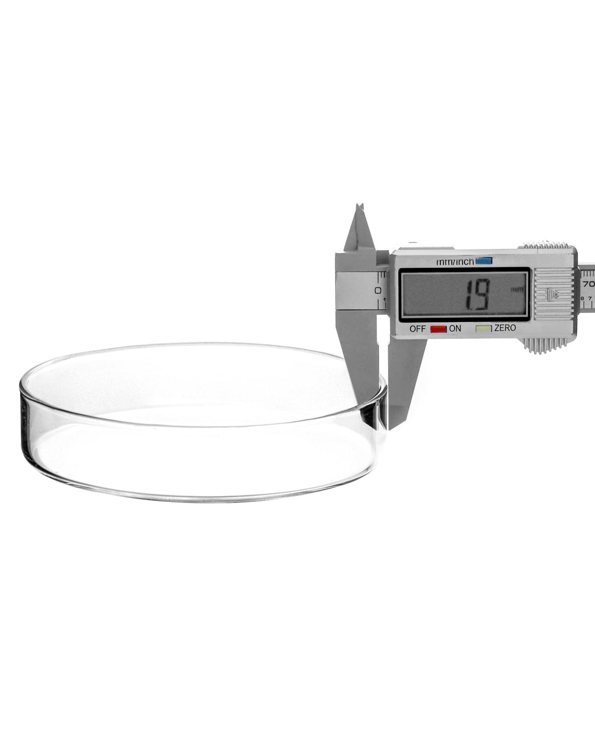 Glass Petri Dishes with Lid, Thicken, 120mm x 26mm, 5 Pack
