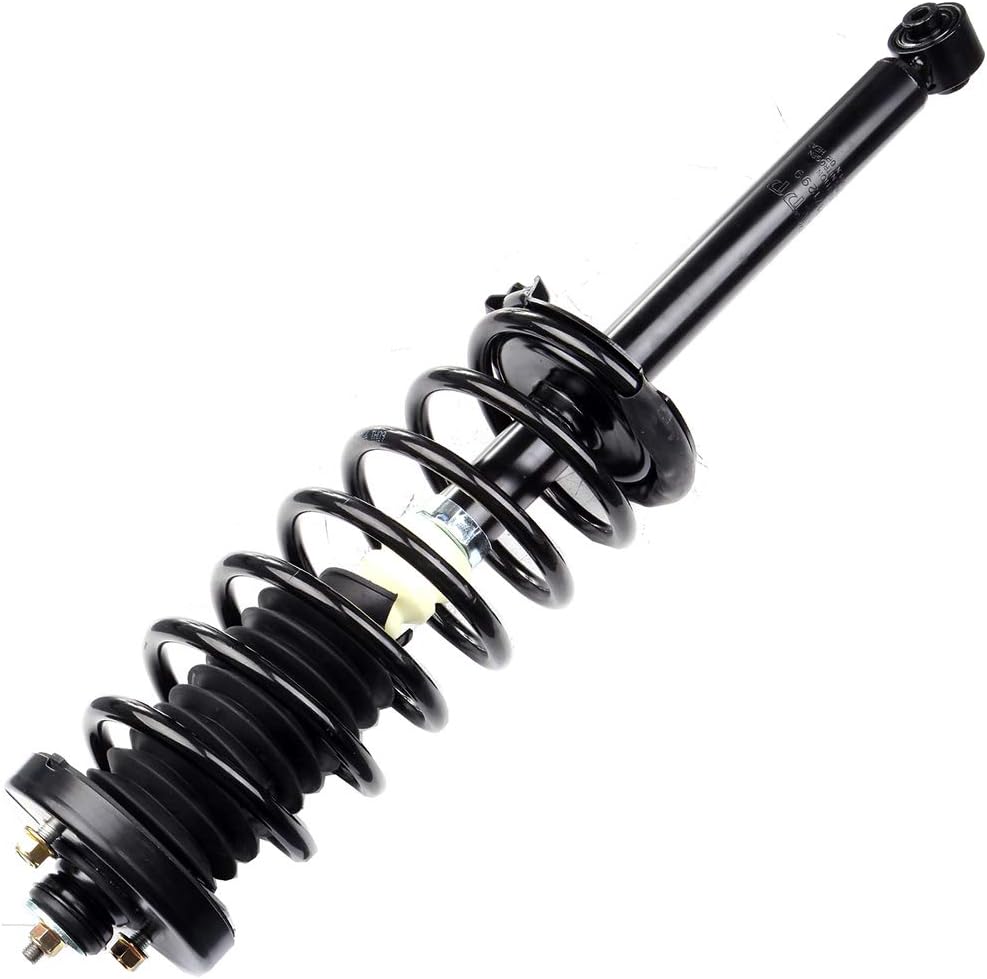 ECCPP Rear Complete Strut Assembly Shock Absorber for Honda Accord 98-02