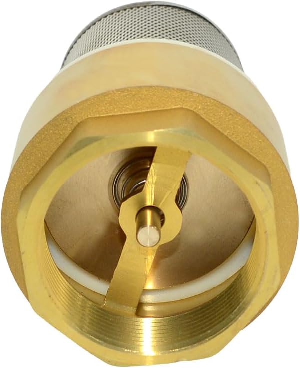 VARMHUS Brass Foot Valve with Filter, Check Valve for Water Pump, NPT Thread, Prevents Backflow (2inch)