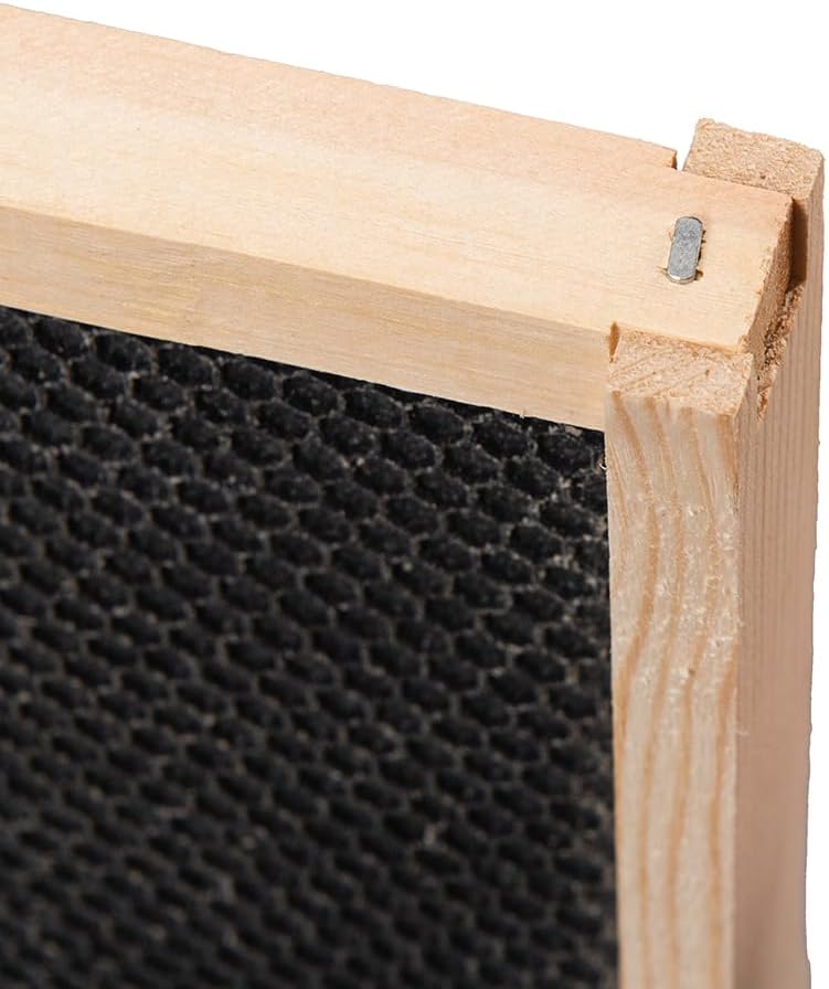 Medium Beehive Frames and Foudations Kit,10 Pack Super Bee Frames with Beeswax Coated Plastic Foundations for