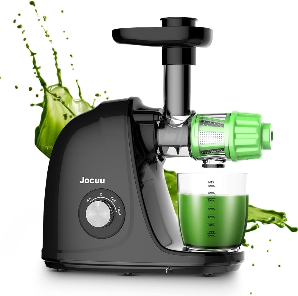 Slow Masticating Juicer with 2-Speed Modes - Cold Press Juicer Machine - Quiet Motor & Reverse Function - Easy to