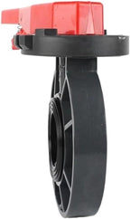 Butterfly Valve Clamped Handle Butterfly Valve Flange(DN100)