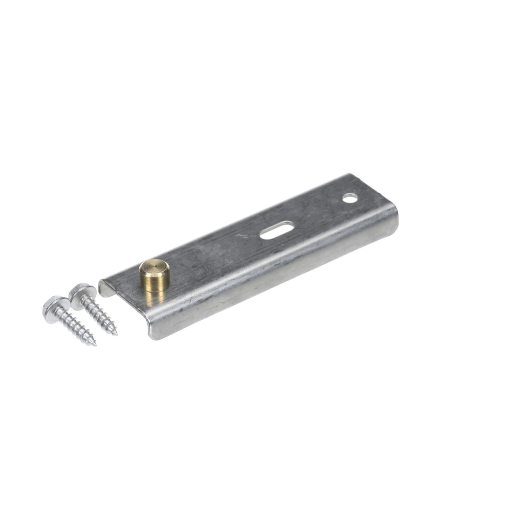Randell RP HNG0601 top Hinge with Brass Pin for R