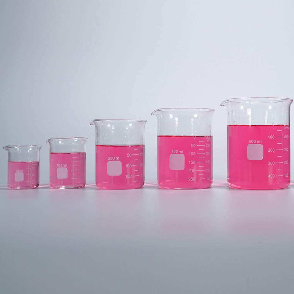 5-Piece Borosilicate Glass Measuring Low Form Beaker Set, 50-600 mL